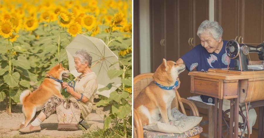 日本一位攝影師，帶著奶奶和柴犬環遊日本，感動了萬千網友