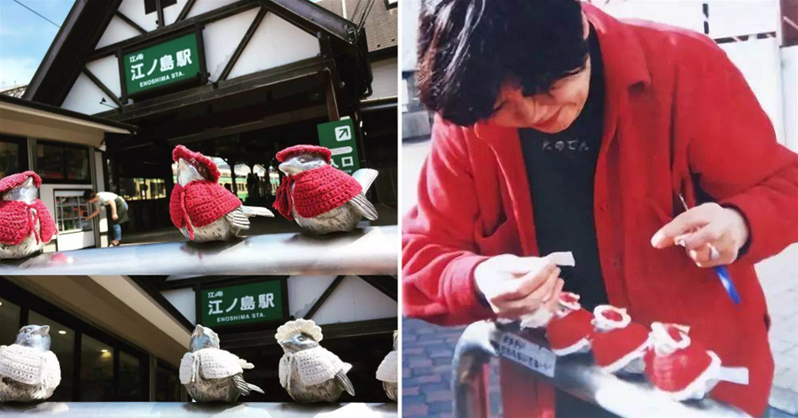 害怕小鳥受涼，日本老奶奶悄悄為它們織了22年的毛衣！