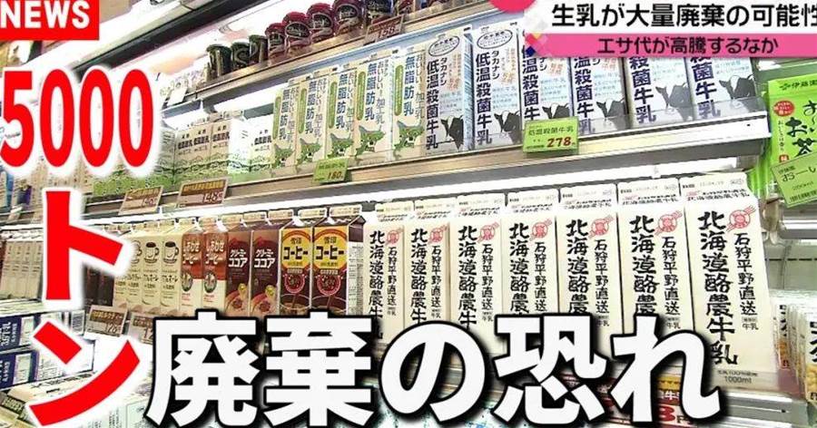 奶牛即將「失業」？日本首相岸田呼籲全民喝奶，一滴不留！
